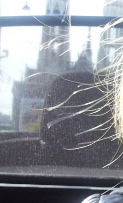 Kopfstütze hinten.jpg