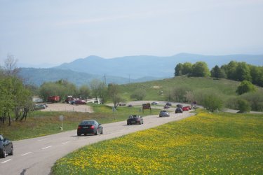 IMG_7936.JPG