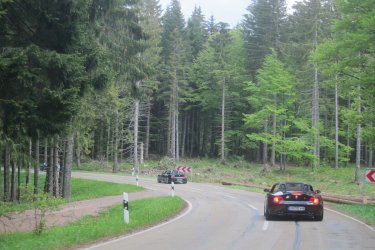 IMG_8665.JPG
