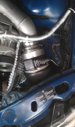 IMAG0884.jpg