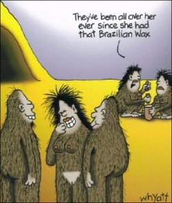 AFFE.jpg