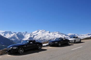 DSC_3106.jpg