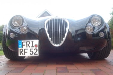 Wiesmann 2012 017.JPG