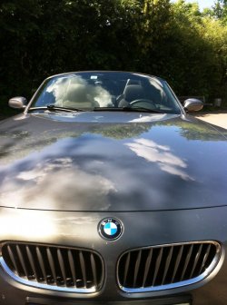 Foto7.JPG