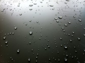IMG_1644.jpg