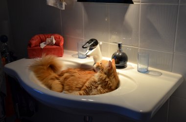 DSC_1603.JPG