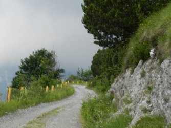 DSCN6202 Kopie.JPG