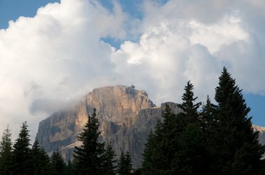 DSC_7477.jpg