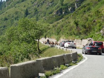 Alpentour XXL 2012 035.JPG