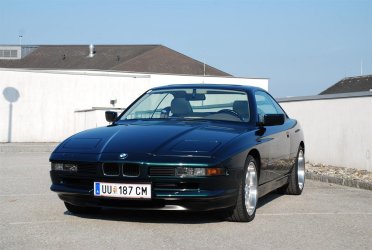 DSC_0130 (Large).JPG