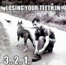 ImageUploadedByTapatalk1345071277.538377.jpg