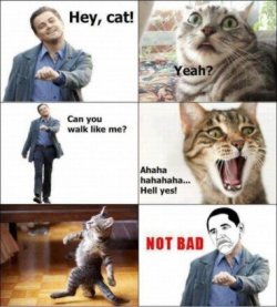 ImageUploadedByTapatalk1345123290.370247.jpg