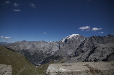 _MG_4464.jpg