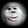 eifelyeti