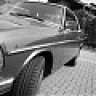 Elvis