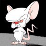 Brain