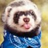 Fenni