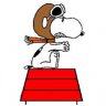 Flursurfer