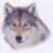 Avalonwolf