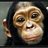 Bonobo