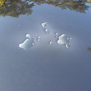 Airbrush auf der Motorhaube