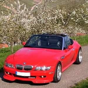 Frühling