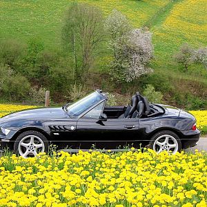 zetti im frühjahr ;-)