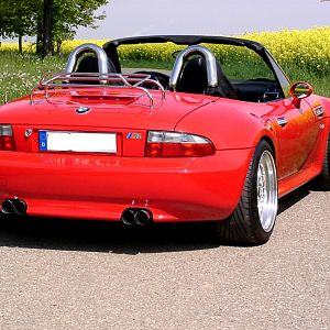 Z3 im Frühjahr