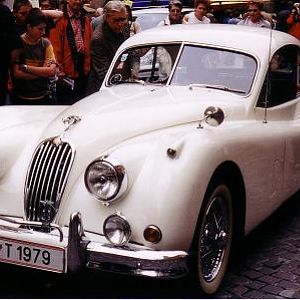 Jaguar-Treff Innsbruck