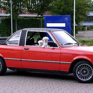 Baur TC E21