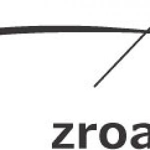 zroadster.com Logo (Z4)