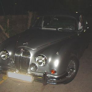 jag at night