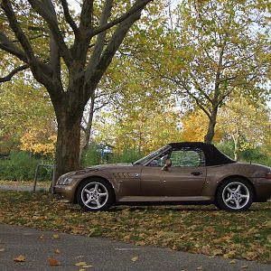 Herbstimpressionen 4