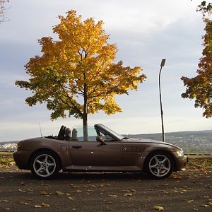 Da wächst ein Baum aus dem Auto!