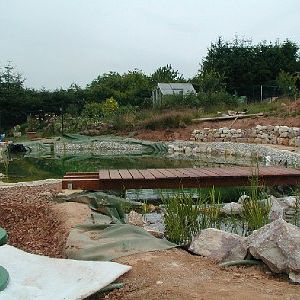 Die Brücke am Teich