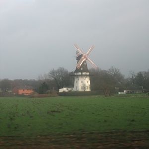 ....am Wegesrand