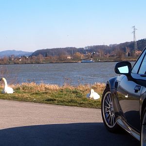 ride a white swan ...