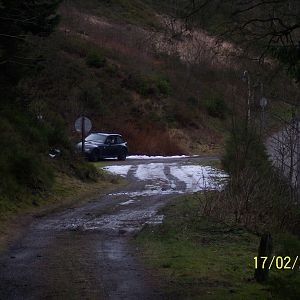 Ein Qp´le steht einsam im Walde ;-)