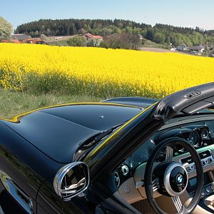 ein Sonntag im Frühling