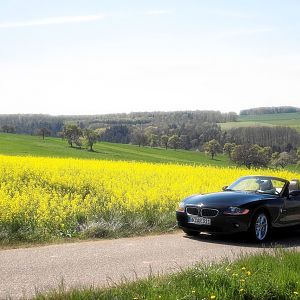 Z4 im Feld - Verträumt