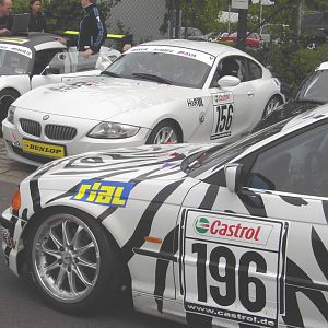 Der Hai und ein Zebra