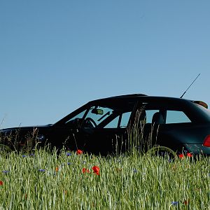 FlowerPower ...