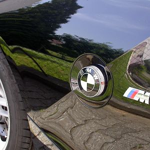 Z4M