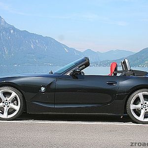 Black Beauty am Attersee