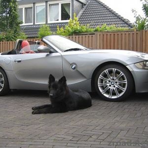 Z4 von 535dnl