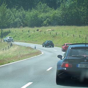 QP-Treffen 07