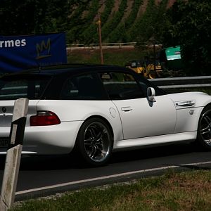 Orcinus auf der Strasse