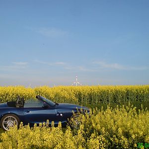 Zum glück gab es ersatz :-)