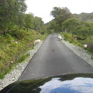 Schottland 2007