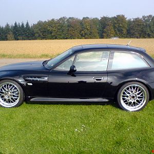 Das Schwarze auf dem Grünen